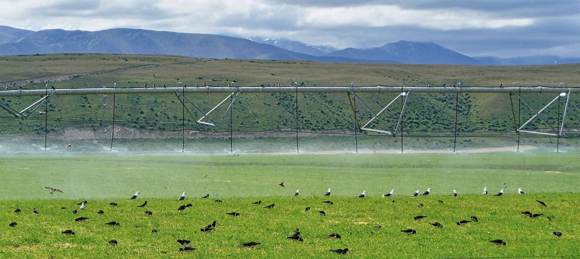 Imp Irrigation System